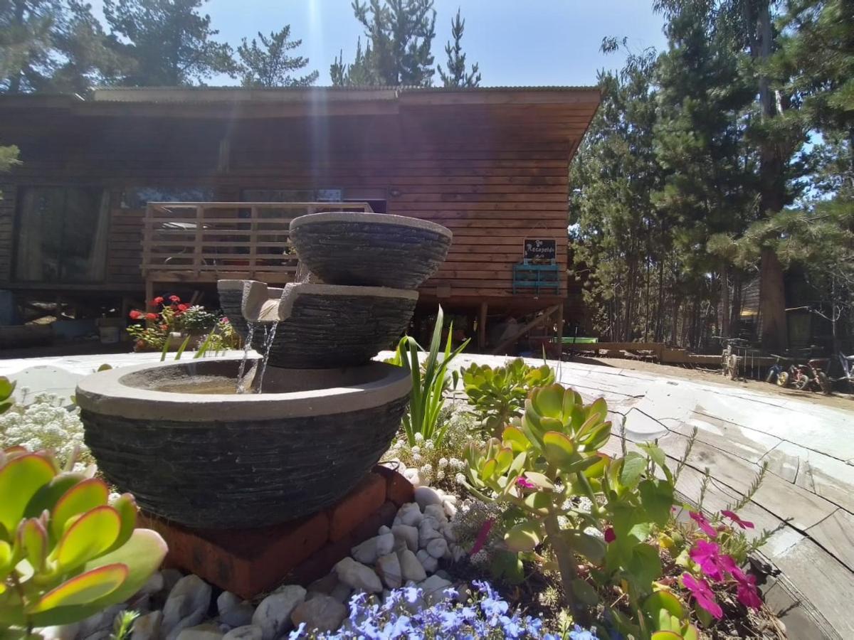Lodge Terra Mar Pichilemu Εξωτερικό φωτογραφία