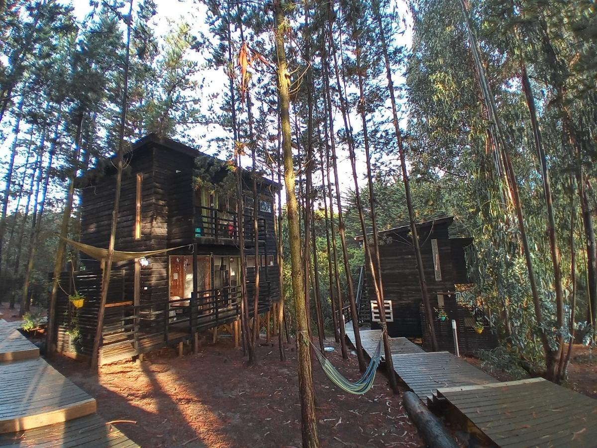 Lodge Terra Mar Pichilemu Εξωτερικό φωτογραφία