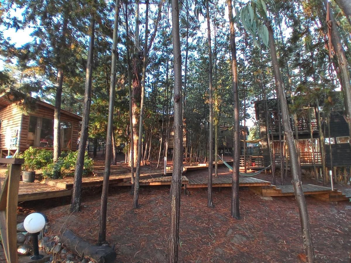 Lodge Terra Mar Pichilemu Εξωτερικό φωτογραφία