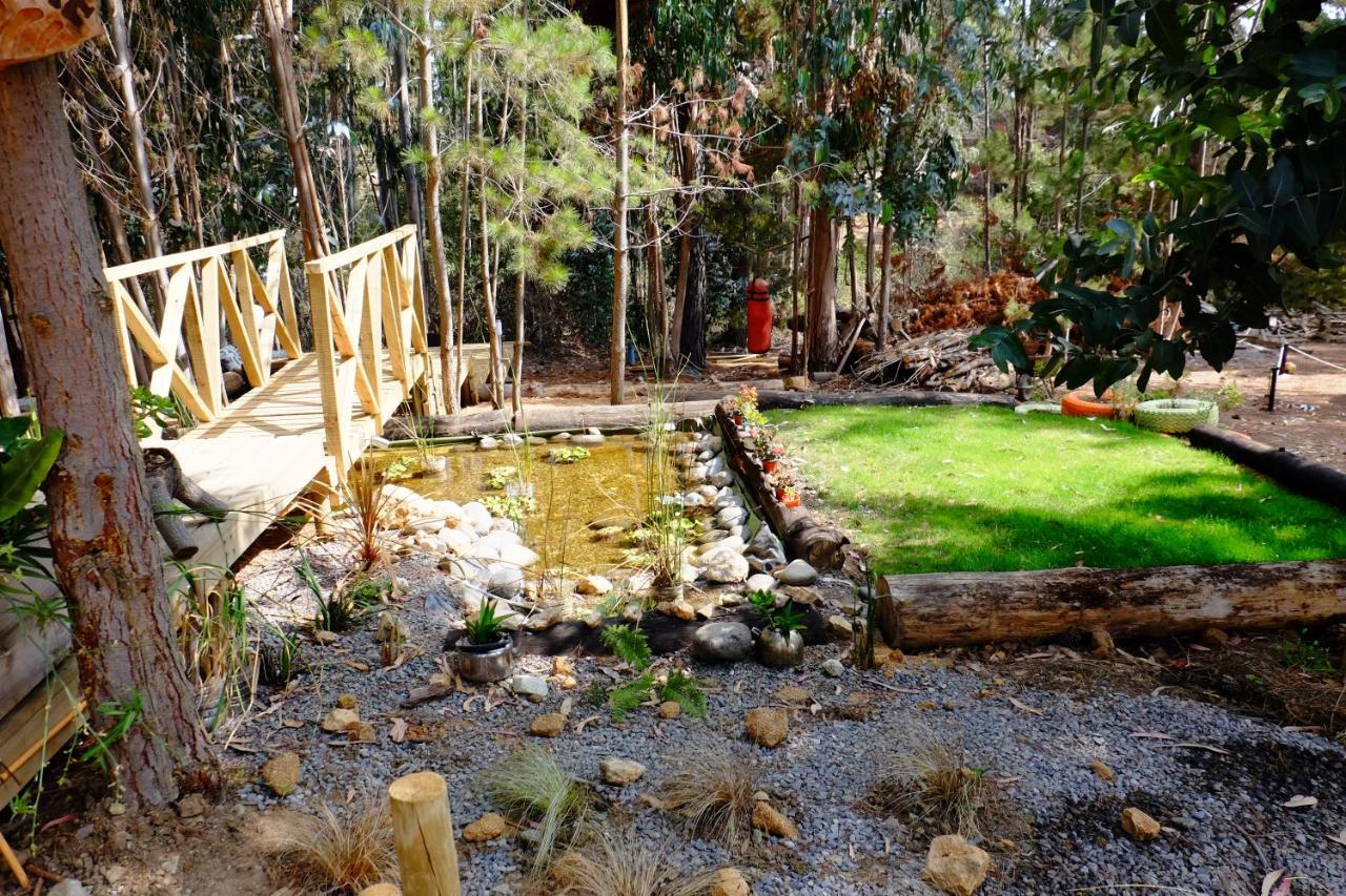 Lodge Terra Mar Pichilemu Εξωτερικό φωτογραφία