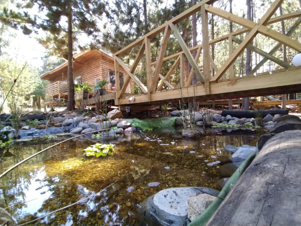 Lodge Terra Mar Pichilemu Εξωτερικό φωτογραφία